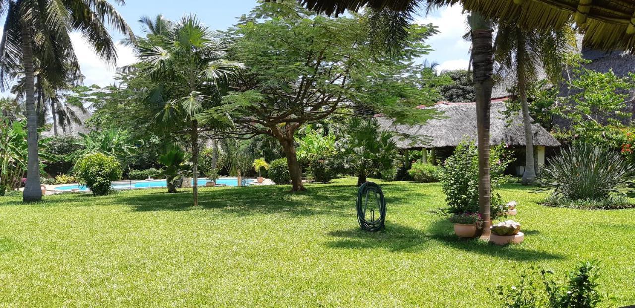 Amani Paradise - Luxury Villas شاطئ دياني المظهر الخارجي الصورة